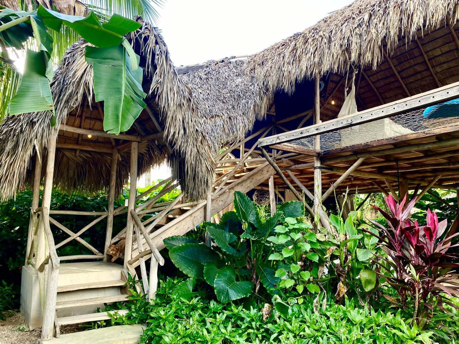 Samana Ecolodge El Limon 외부 사진