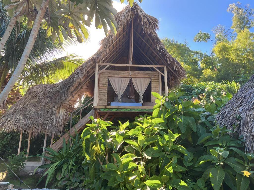 Samana Ecolodge El Limon 외부 사진