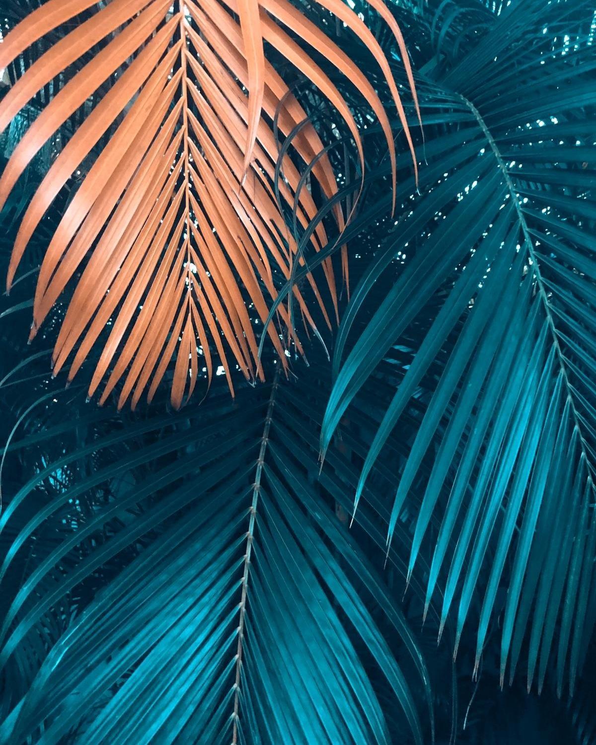 Samana Ecolodge El Limon 외부 사진