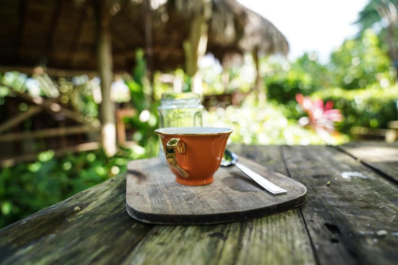 Samana Ecolodge El Limon 외부 사진