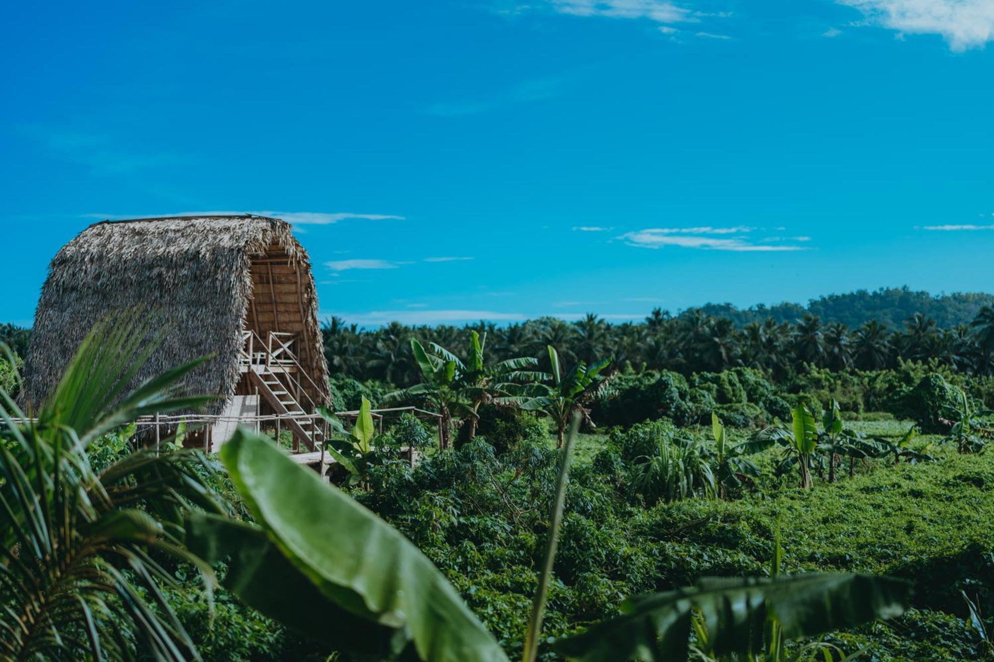 Samana Ecolodge El Limon 외부 사진