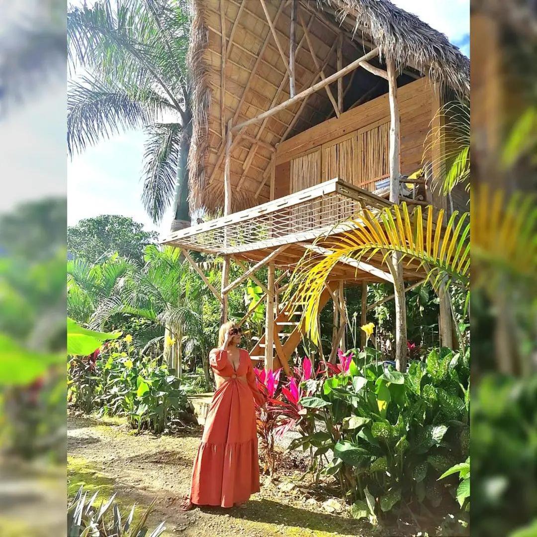 Samana Ecolodge El Limon 외부 사진