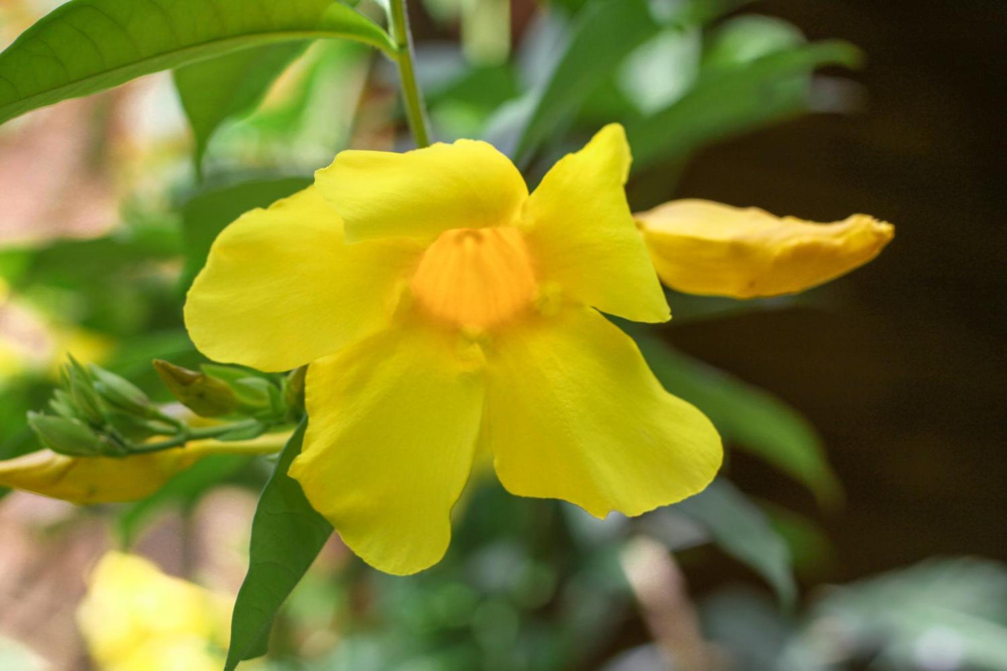 Samana Ecolodge El Limon 외부 사진