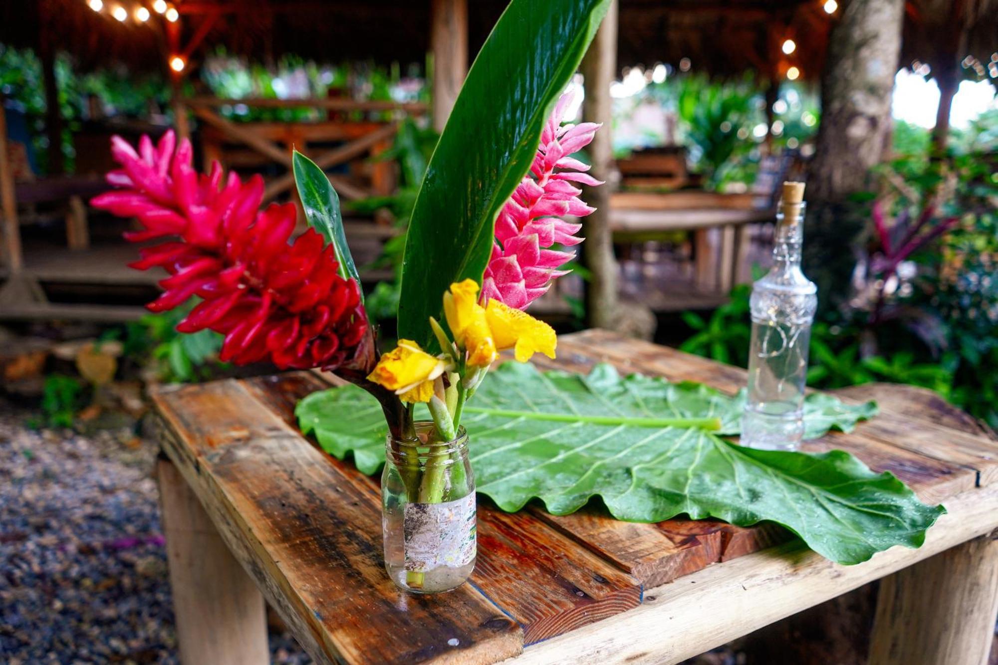 Samana Ecolodge El Limon 외부 사진